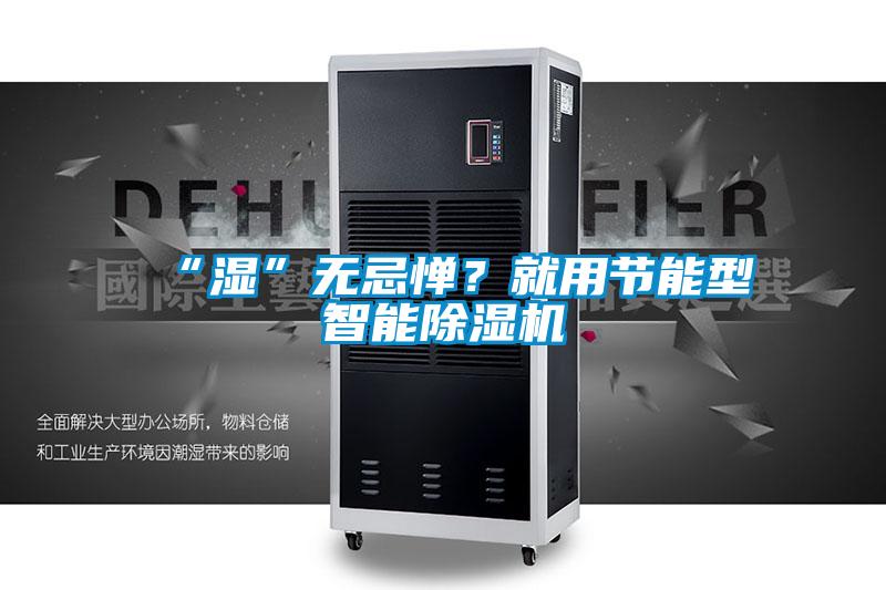 “濕”無忌憚？就用節(jié)能型智能除濕機