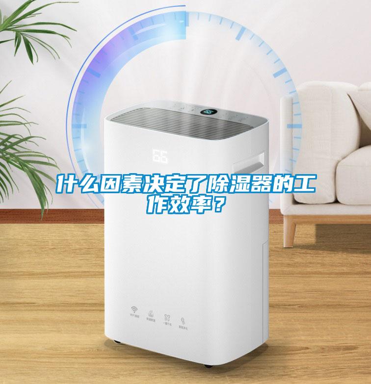 什么因素決定了除濕器的工作效率？