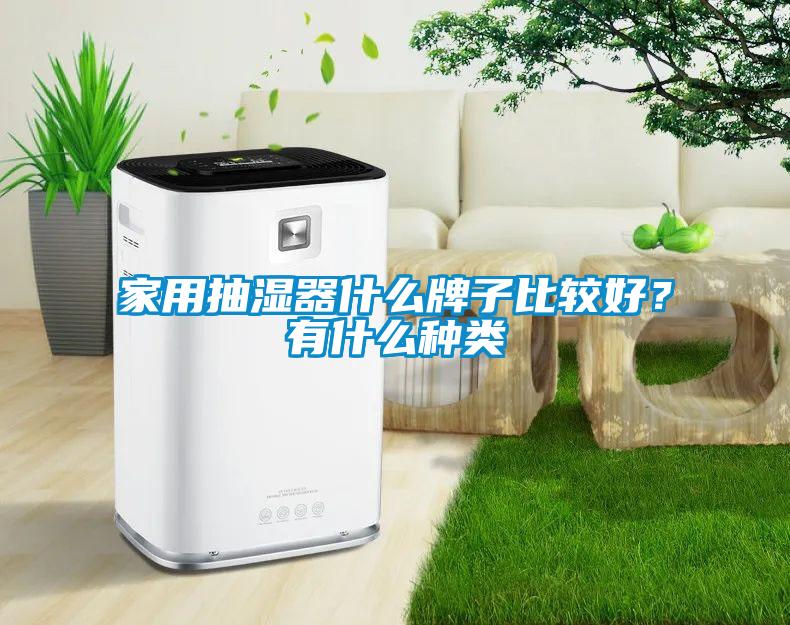 家用抽濕器什么牌子比較好？有什么種類