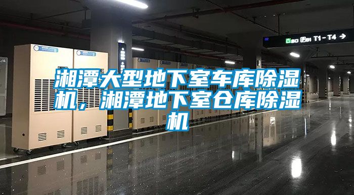 湘潭大型地下室車(chē)庫(kù)除濕機(jī)，湘潭地下室倉(cāng)庫(kù)除濕機(jī)