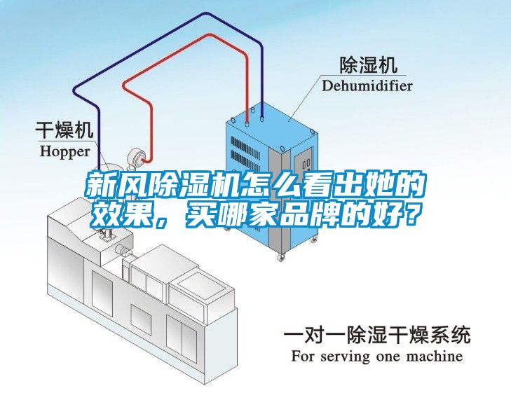 新風(fēng)除濕機(jī)怎么看出她的效果，買哪家品牌的好？