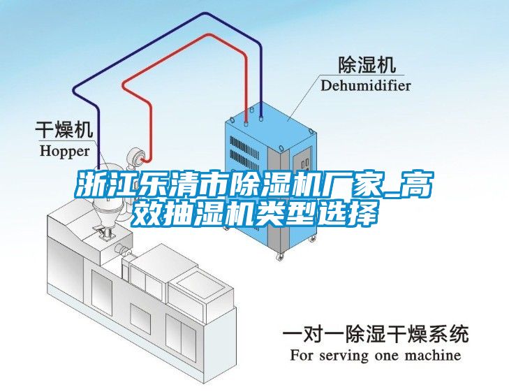 浙江樂(lè)清市除濕機(jī)廠(chǎng)家_高效抽濕機(jī)類(lèi)型選擇