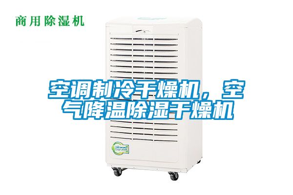 空調制冷干燥機，空氣降溫除濕干燥機