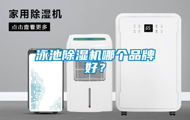 泳池除濕機哪個品牌好？