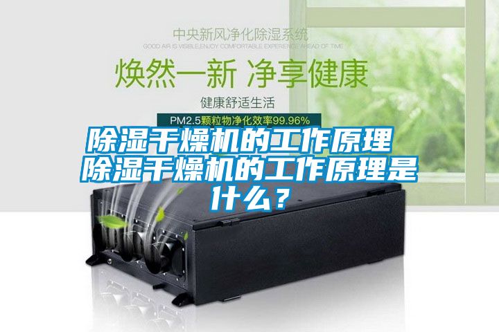 除濕干燥機的工作原理 除濕干燥機的工作原理是什么？