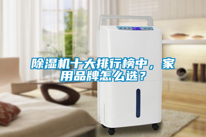 除濕機十大排行榜中，家用品牌怎么選？