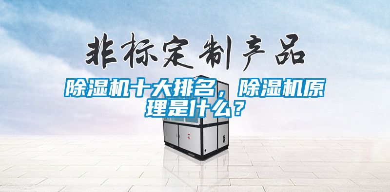 除濕機(jī)十大排名，除濕機(jī)原理是什么？