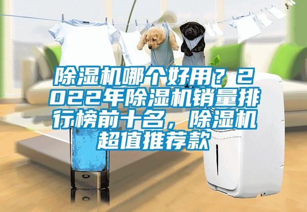 除濕機哪個好用？2022年除濕機銷量排行榜前十名，除濕機超值推薦款