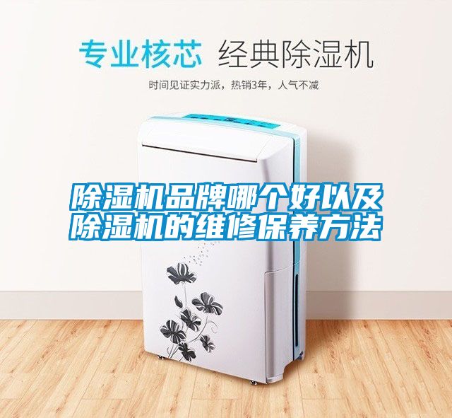 除濕機品牌哪個好以及除濕機的維修保養(yǎng)方法