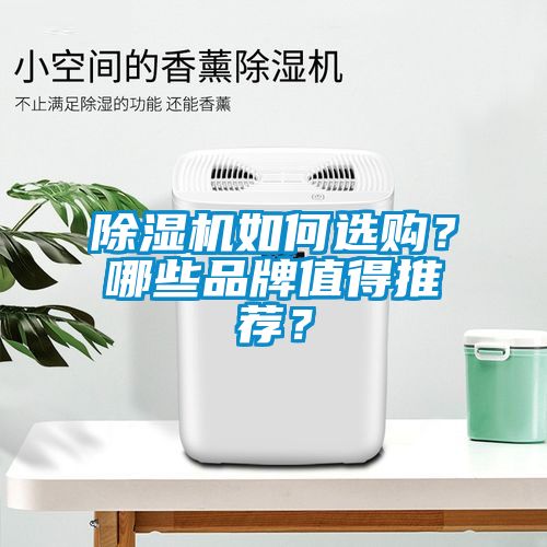 除濕機如何選購？哪些品牌值得推薦？