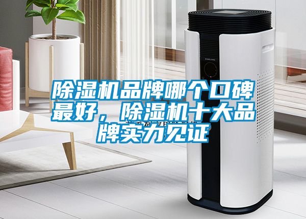 除濕機(jī)品牌哪個(gè)口碑最好，除濕機(jī)十大品牌實(shí)力見證