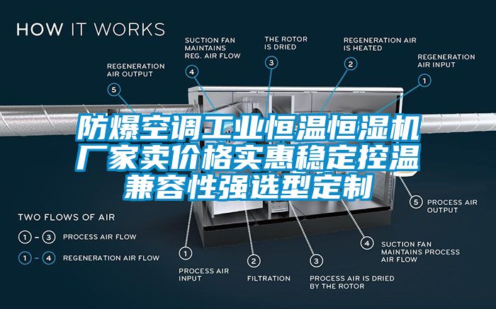 防爆空調(diào)工業(yè)恒溫恒濕機(jī)廠家賣(mài)價(jià)格實(shí)惠穩(wěn)定控溫兼容性強(qiáng)選型定制