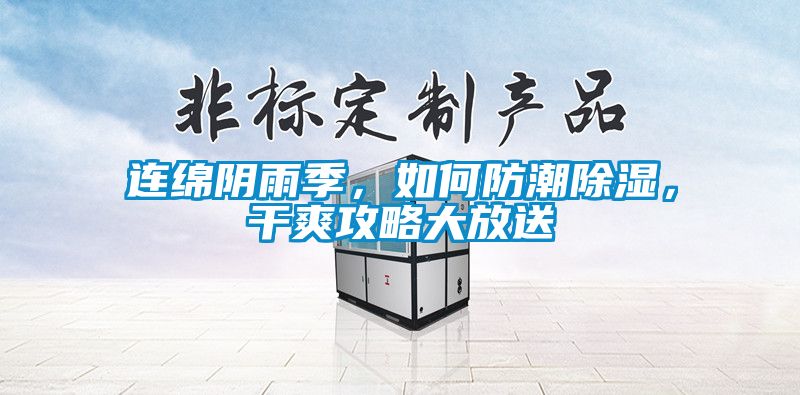 連綿陰雨季，如何防潮除濕，干爽攻略大放送