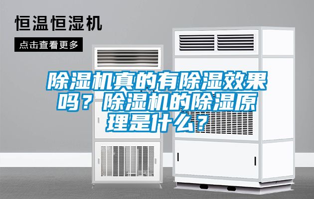 除濕機(jī)真的有除濕效果嗎？除濕機(jī)的除濕原理是什么？