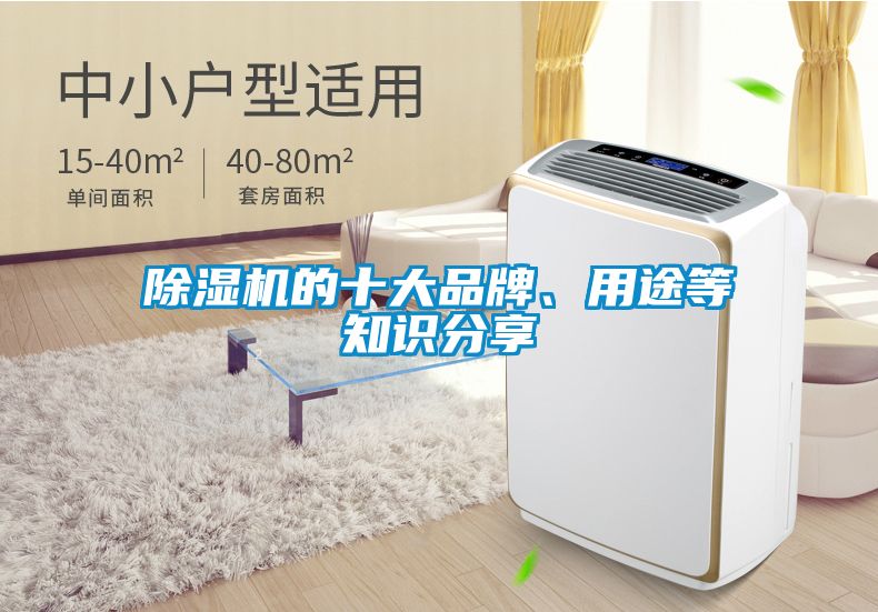 除濕機的十大品牌、用途等知識分享