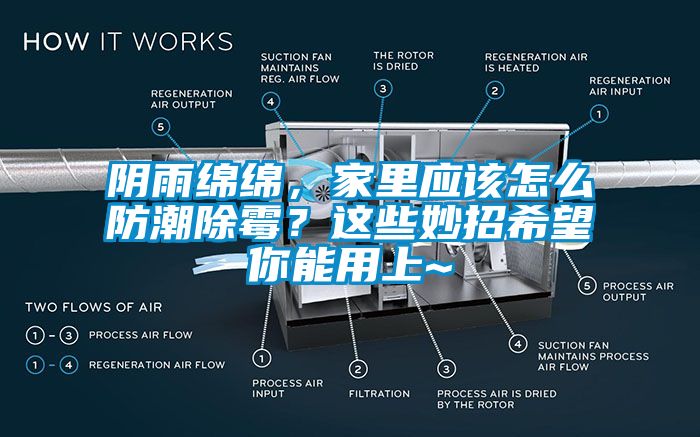 陰雨綿綿，家里應(yīng)該怎么防潮除霉？這些妙招希望你能用上~