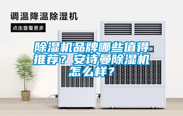 除濕機品牌哪些值得推薦？安詩曼除濕機怎么樣？