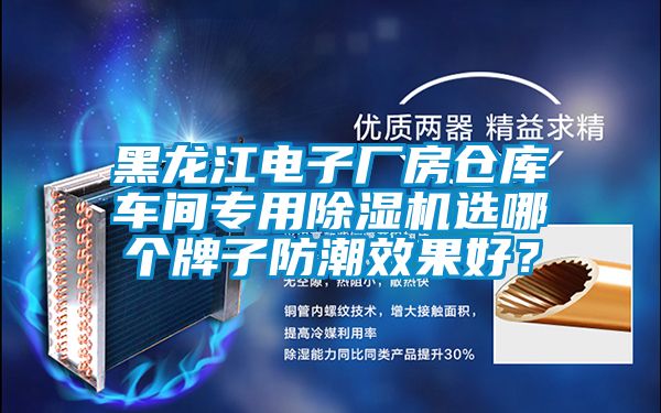 黑龍江電子廠房倉庫車間專用除濕機選哪個牌子防潮效果好？