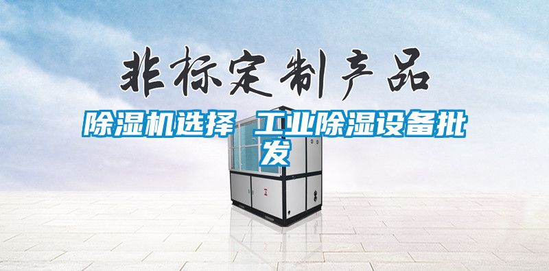 除濕機(jī)選擇 工業(yè)除濕設(shè)備批發(fā)