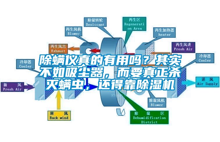 除螨儀真的有用嗎？其實不如吸塵器，而要真正殺滅螨蟲，還得靠除濕機